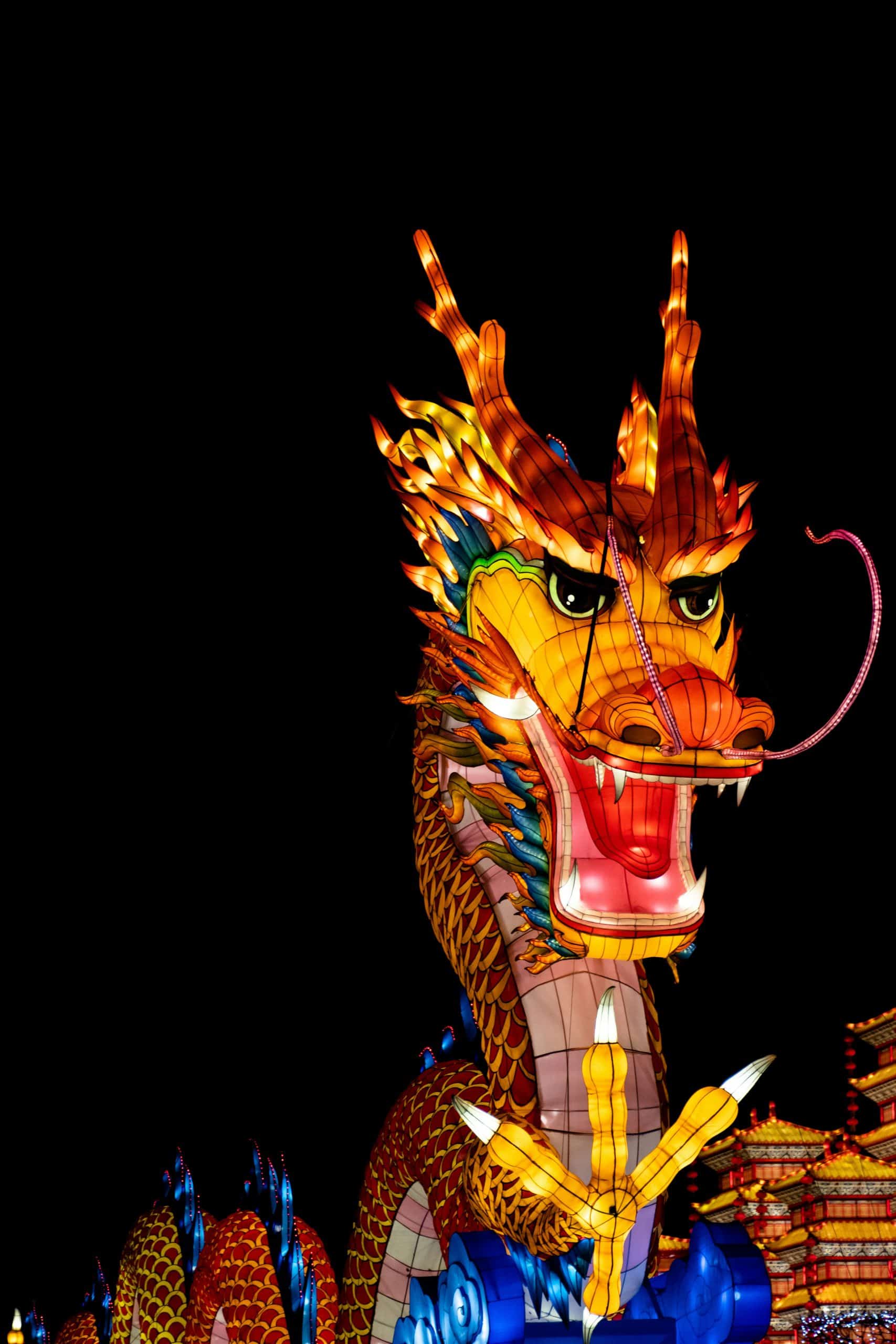 year of the dragon feng shui 
