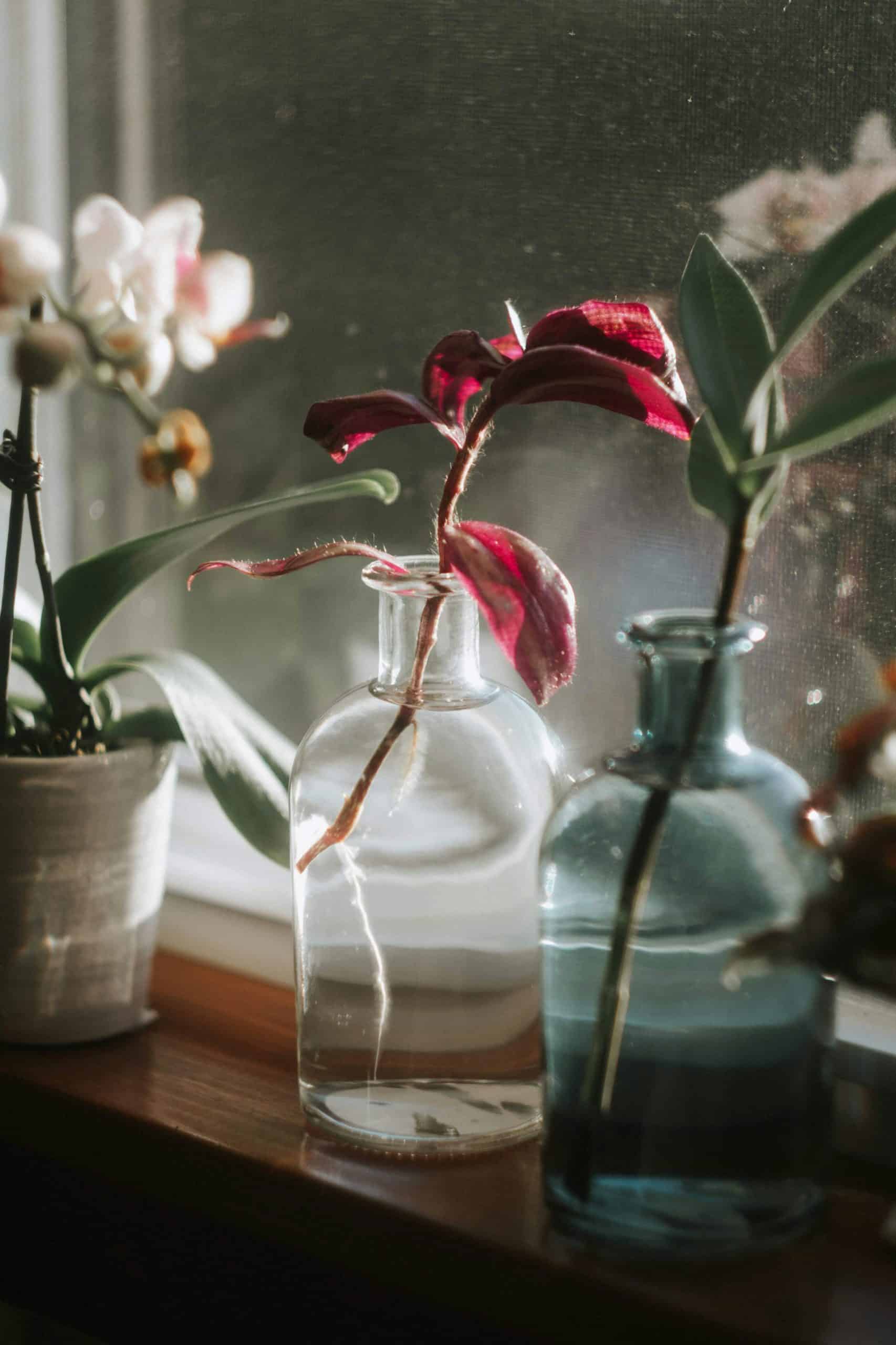 5 Big Ways Clutter Impacts Your Wealth (and How to Turn It Around)