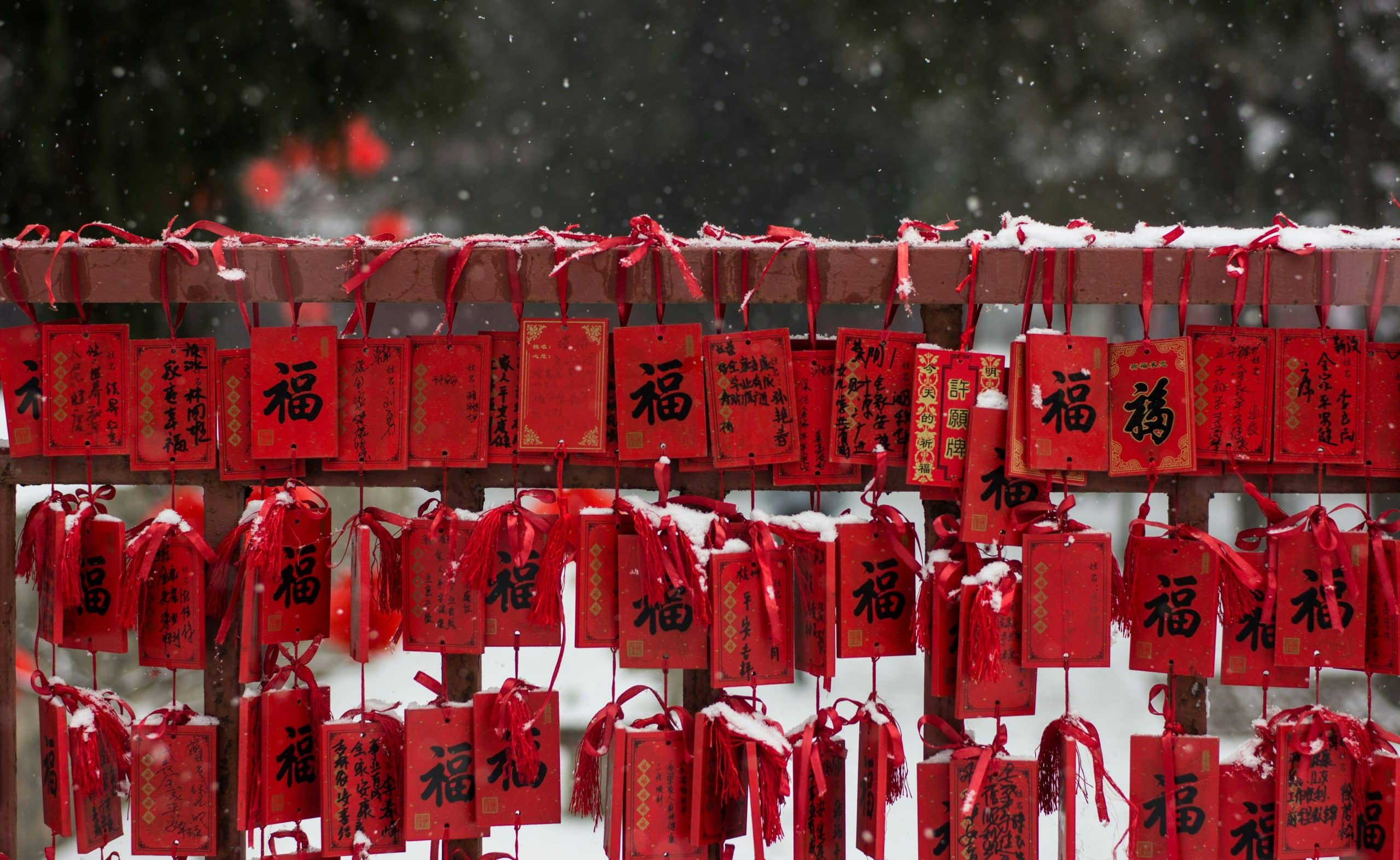 New Moon In Aquarius Lunar New Year Feng Shui!