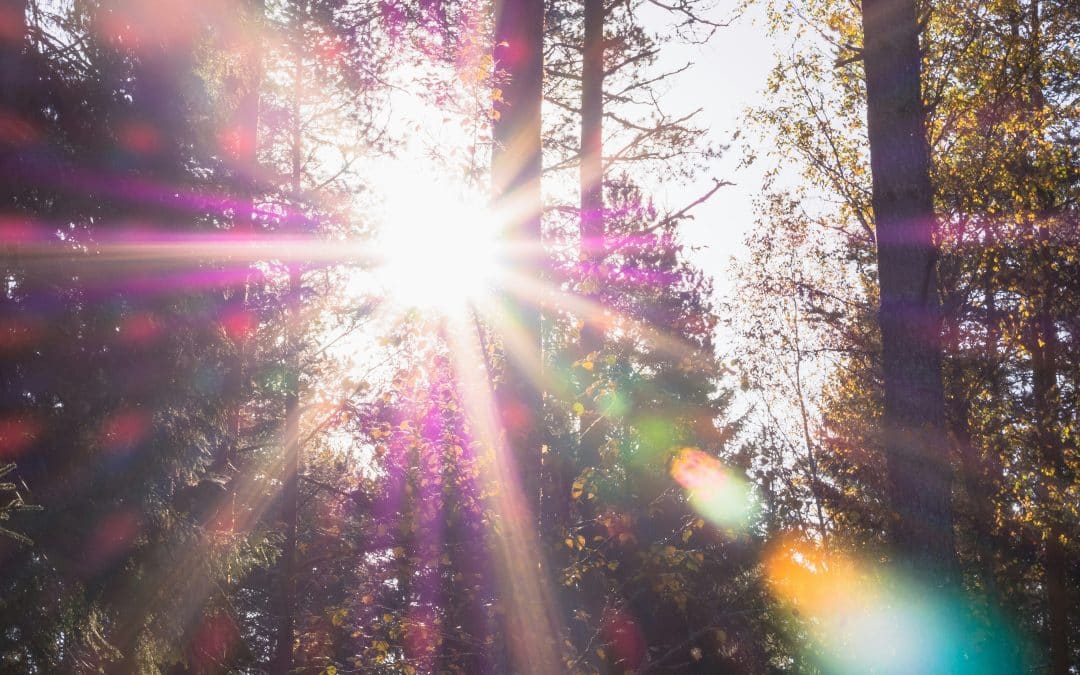 Transform Your Life This Season: Energy Shifts for Huge Growth!