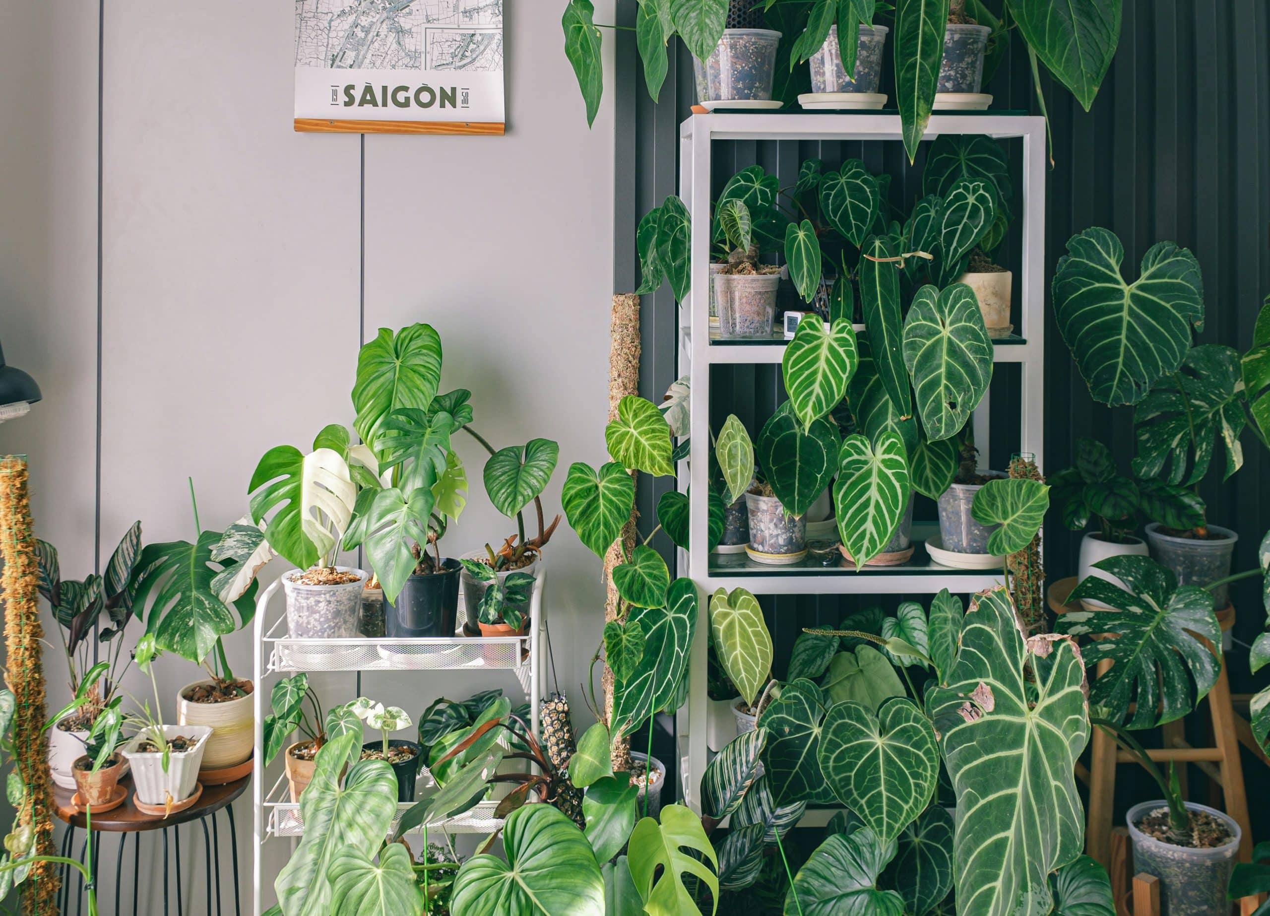 2026 Feng Shui Success Habits To Light Up Success This Year