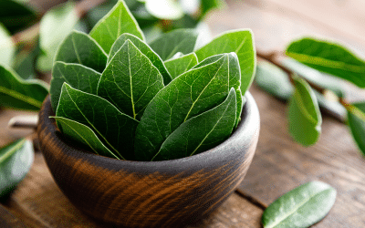Use Bay Leaves to Remove Negative Energy from Your Home!